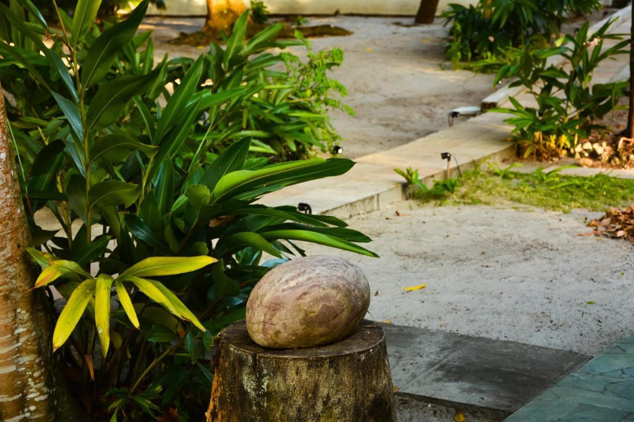 Pousada Vila Palma Boipeba Velha Boipeba Exterior photo
